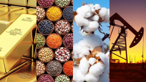 Commodities KapitalVerwaltungs